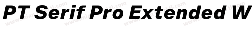 PT Serif Pro Extended W05 XBdIt字体转换